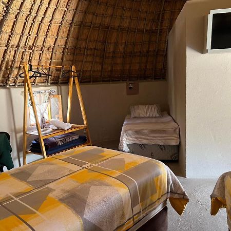 Kwakunje Guest Lodge ダンディー エクステリア 写真